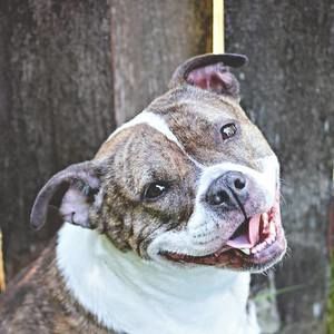 Meet your Posher, Jeanette